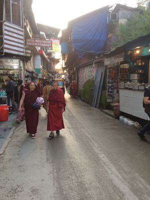 Backpacking McleodGanj, Bir, Kheerganga, Manali