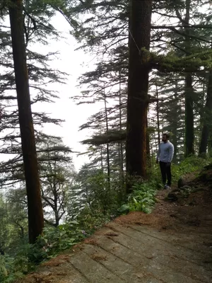 Lal Tibba, Mussoorie, India: View Images, Timing And Reviews | Tripoto