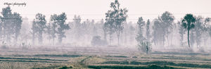 Shalboni-- A weekend trip in the midst of woods #Garhshalboni