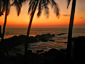 Arambol Beach 1/31 by Tripoto