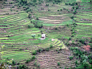Palampur: Weekend Getaways from Delhi