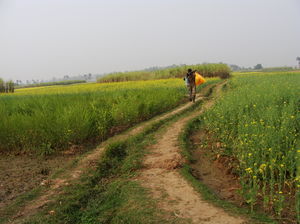 Eco Home stay in the lap of rural nature