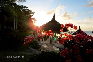 A Mauritian Sundowner