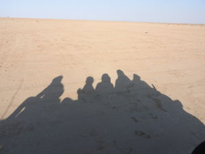 The Carnival of the Desert-Rann Utsav