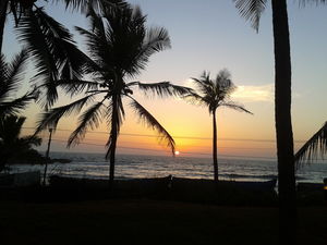 Luxury at 'The Leela', Kovalam