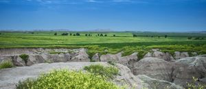 A visit to the Mount Rushmore State - South Dakota