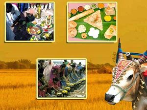 Get Bedazzled at Theni this Pongal
