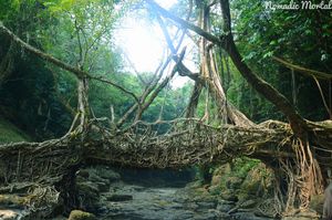 Borders, Bridges and more - Meghalaya and beyond!