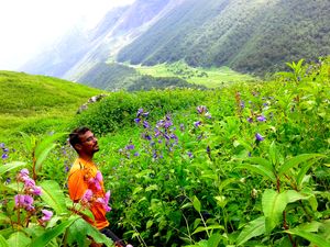 Valley of flowers and Deoriatal trek