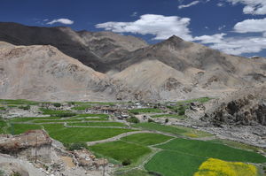 Secrets of Ladakh: A Cutural Tour