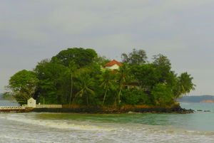 Scuba Diving at Hikkaduwa: A beginner's experience