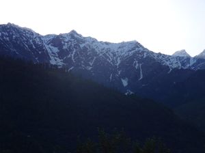 Mesmerizing yet easy level trek! Manali- Deo-Tibba base! Specially for beginners.
