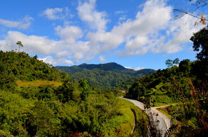 Visit to Cameron Highlands, Malaysia's most extensive Hillstation