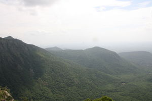 An impromptu trip to Yercaud