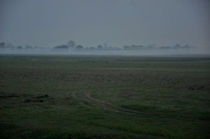Majuli and the “satras”