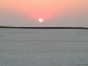 Run in the Rann
