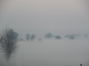 Kashmir