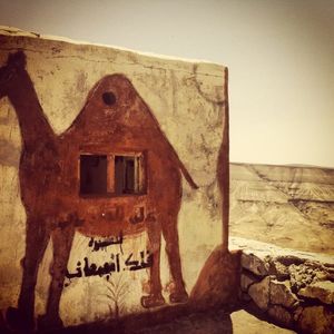 Road-trip through Jordan