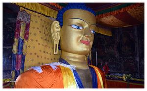 Ladakh – Tranquil in Thin Air