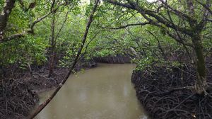 Andamans with my Mom- Part 2