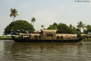 A day on the houseboat at Alleppey, Kerala