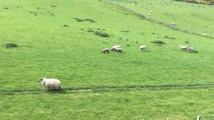 Things To Do In Scotland (That Nobody Tells You About!)