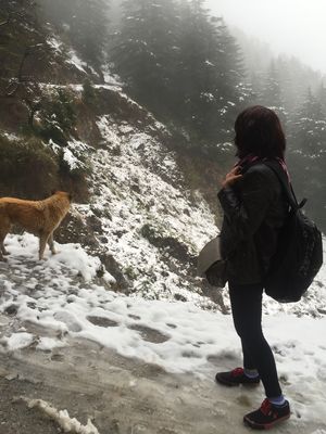 Dharamshala-Mcleodganj , a backpacker's paradise