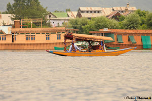 Kashmir/ Ladakh - A drive through heaven!