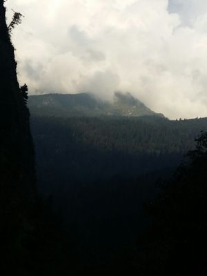 A trek with family