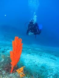 Best Underwater Dives in Mykonos, Greece