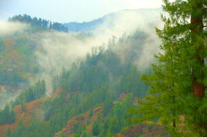 Day 1: Delhi to Solan 1/2 by Tripoto