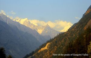 Tapovan Trek