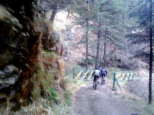 11 Must Do Hiking And Cycling Experiences In Shimla