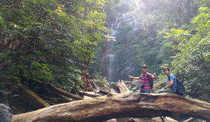Up above the world so high at Kodachadri - A trek !