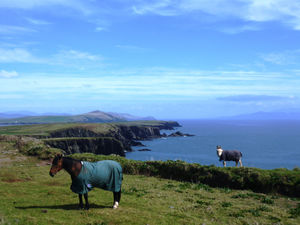 WILD ATLANTIC WAY: SLEA HEAD DRIVE
