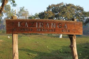 North-East Diaries- Kaziranga National Park
