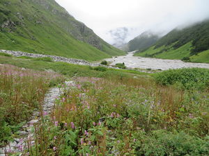 Valley that blossoms in the Himalayas - The Valley of Flowers National Park And Hemkund Sahib