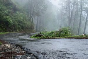 Chail-Koti-Shimla!