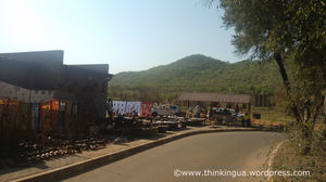 Pilanesberg National Reserve Visit (South Africa)