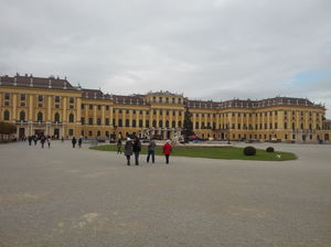 The Vienna Story