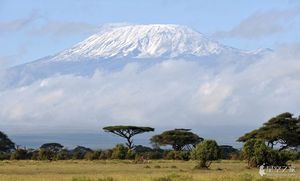 Mt. Kilimanjaro: The Road Less Traveled