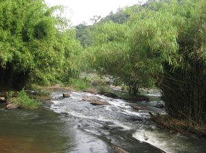 Vazhachal Waterfalls 1/10 by Tripoto