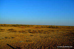 Rann Utsav – It's vast and infinite!