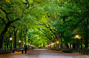 Landmarks of New York: My one week itinerary