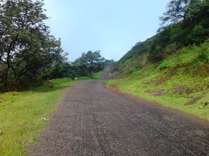 A day's trip to Saputara