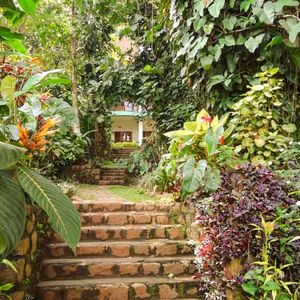 Chrissie's Hotel & Cafe, Thekkady