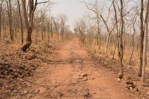 Trip to Srisailam