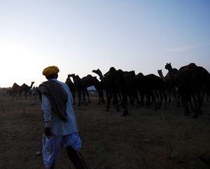 Magnetic and Enigmatic Pushkar