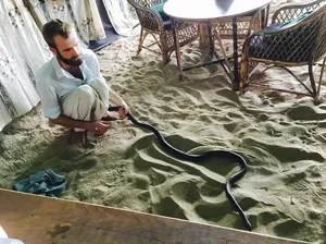 Goa diaries: The blue-eyed guy who can talk to snakes