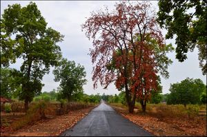 Chenchpur Waterfall